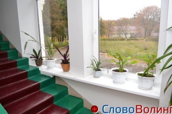 Чимало зелені